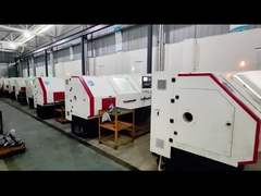 Parti gemellate dell'estrusore a vite